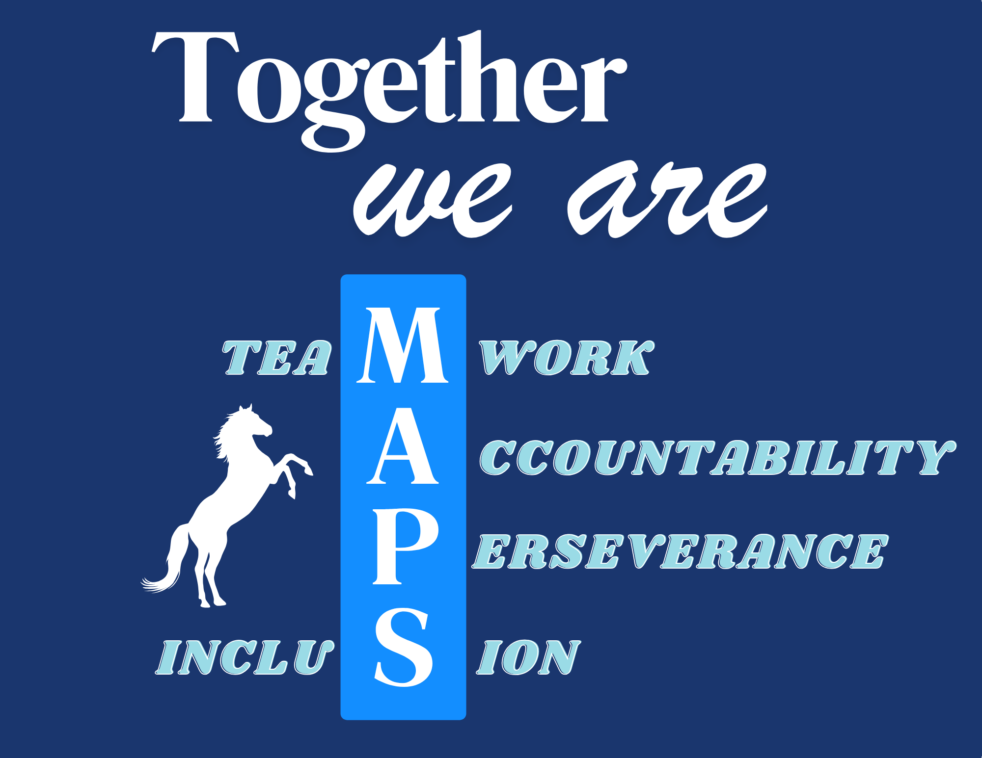 MAPS Values Image